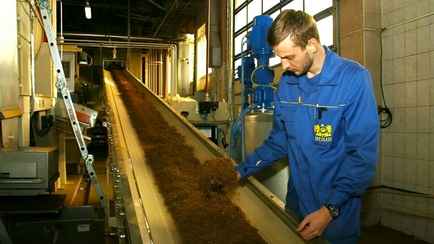 До 4400 рублей. Табачная фабрика «Неман» в Гродно открыла более 20 вакансий