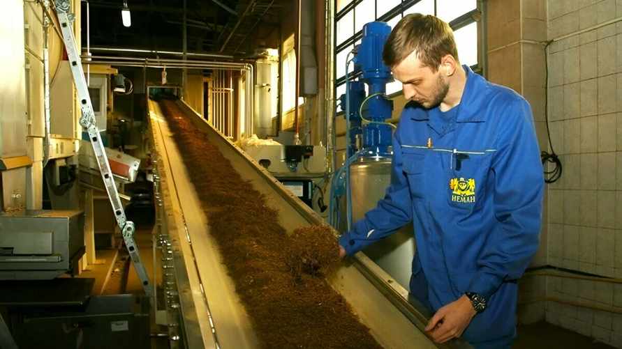 До 4400 рублей. Табачная фабрика "Неман" в Гродно открыла более 20 вакансий