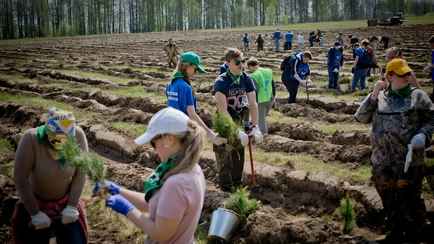 «Объемы большие» — Глава Минлесхоза Беларуси поручил привлечь к восстановлению лесов школьников и студентов. Когда «масштабная акция»?
