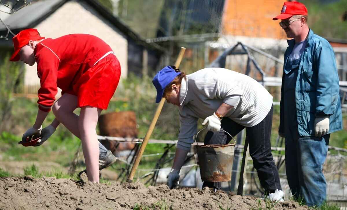 Могут ли белорусы получить участок под огород за пределами своей деревни? Чиновники ответили