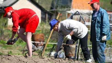 Могут ли белорусы получить участок под огород за пределами своей деревни? Чиновники ответили
