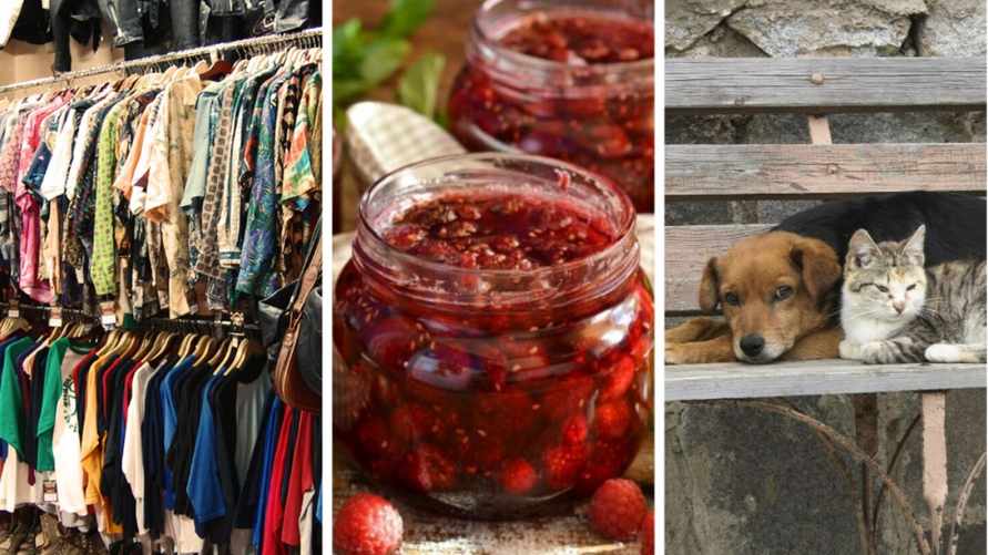 День секонд-хенда, малинового варенья и бездомных животных. Какие еще праздники отметить белорусам с 12 по 18 августа?