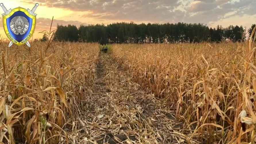 Скриншот: видео СК Беларуси