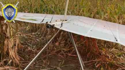 В Светлогорском районе рухнул мотодельтаплан — пилот погиб