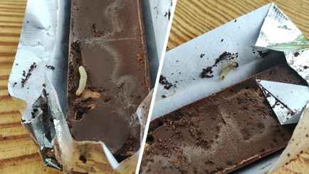 «Шевелится!» — В TikTok показали личинки моли в шоколаде белорусского производителя. Комментаторы оценили