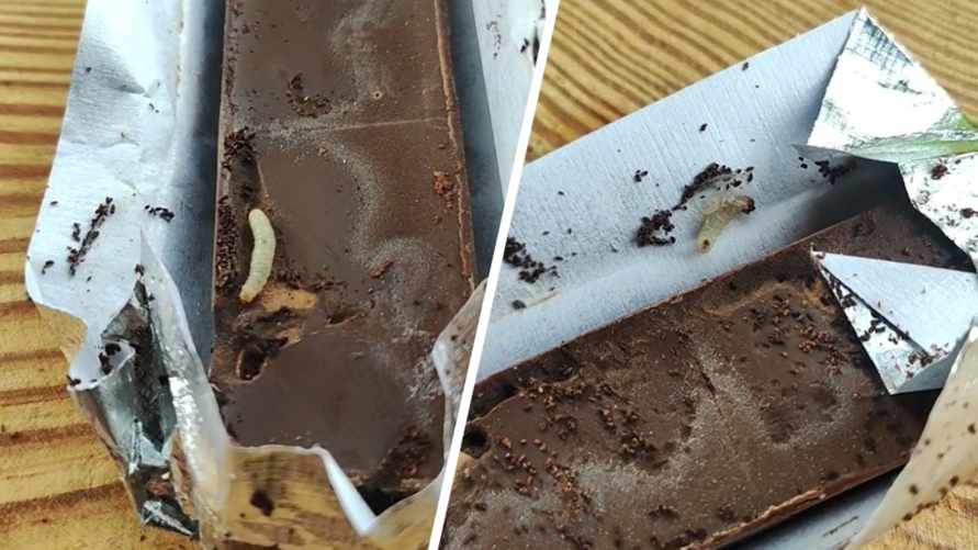 "Шевелится!" - В TikTok показали личинки моли в шоколаде белорусского производителя. Комментаторы оценили