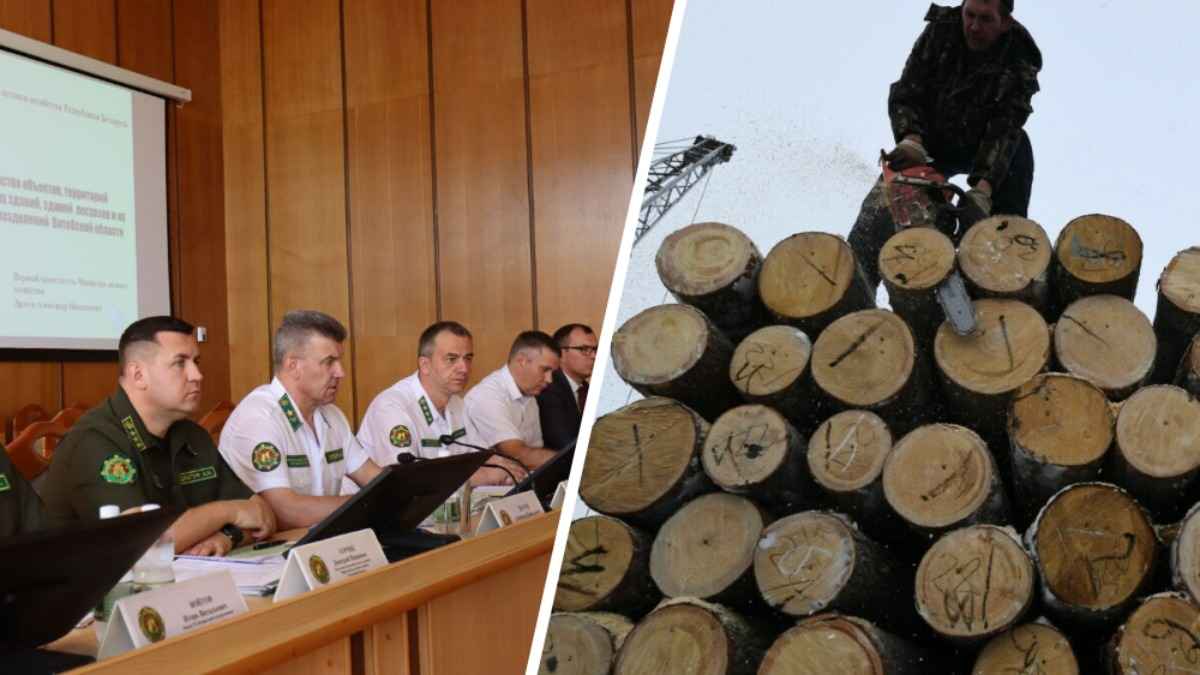 Глава Минлесхоза потребовал наказывать руководителей белорусских предприятий за "элементарные вещи"