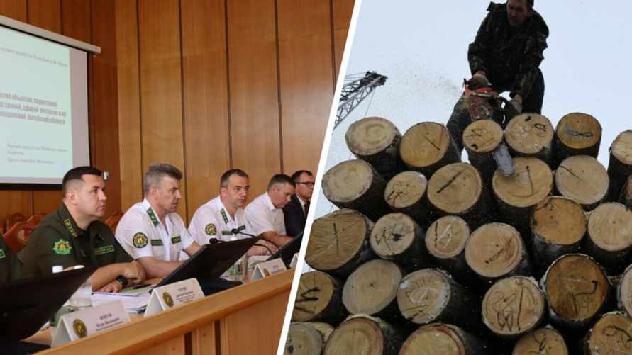 Глава Минлесхоза потребовал наказывать руководителей белорусских предприятий за "элементарные вещи"