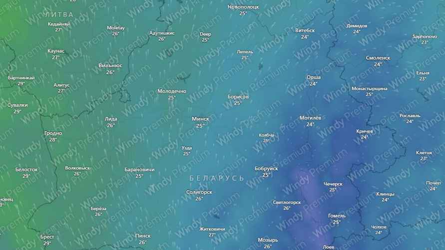 Скриншот: Windy.com