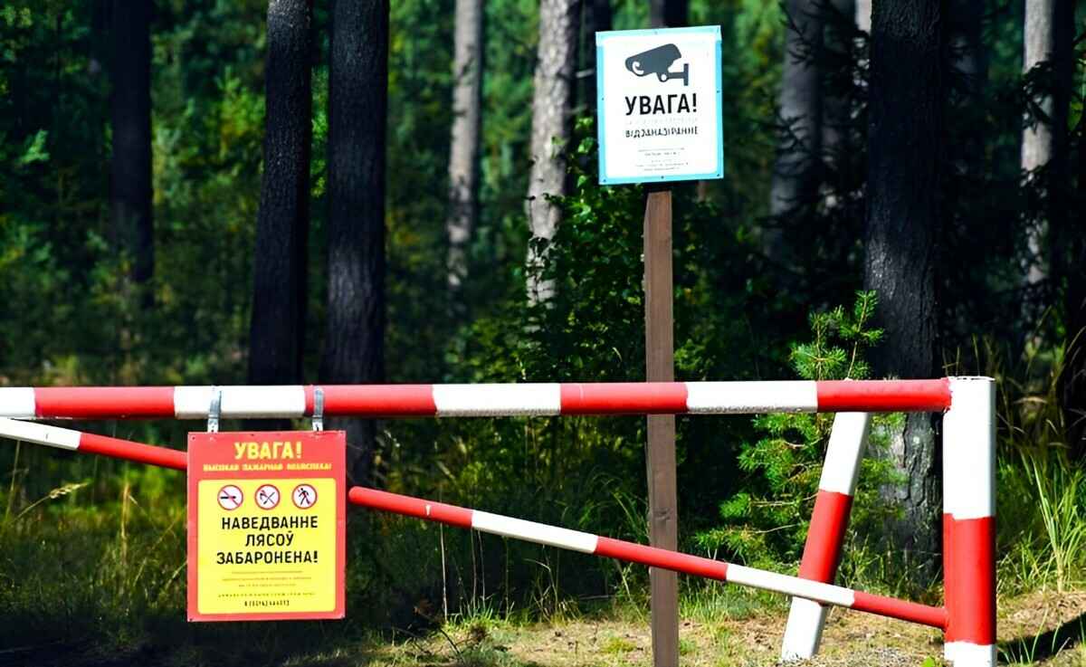"Наша цель — не наказать" — В лесах Гродненщины начали устанавливать QR-коды. Зачем?