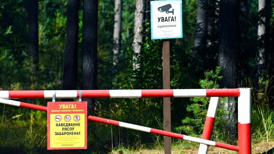 "Наша цель — не наказать" — В лесах Гродненщины начали устанавливать QR-коды. Зачем?