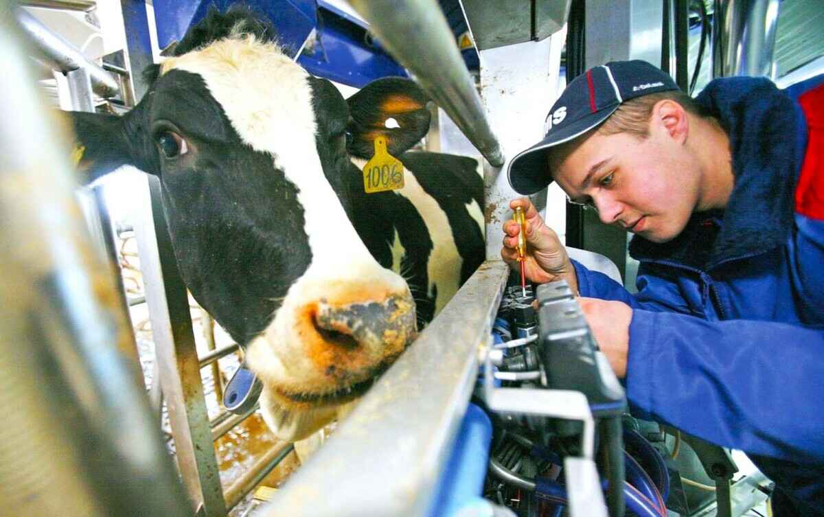 Выплатят ли пособие молодому специалисту, если он проживает не по месту распределения? В Минтруда Беларуси ответили