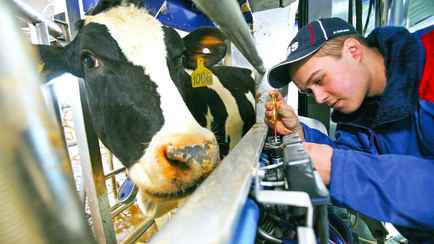 Выплатят ли пособие молодому специалисту, если он проживает не по месту распределения? В Минтруда Беларуси ответили