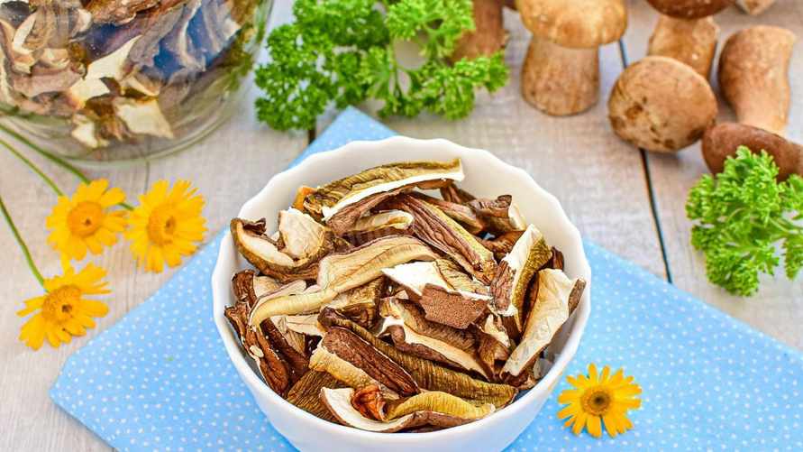 5 лучших способов высушить грибы — от 30 минут до нескольких дней