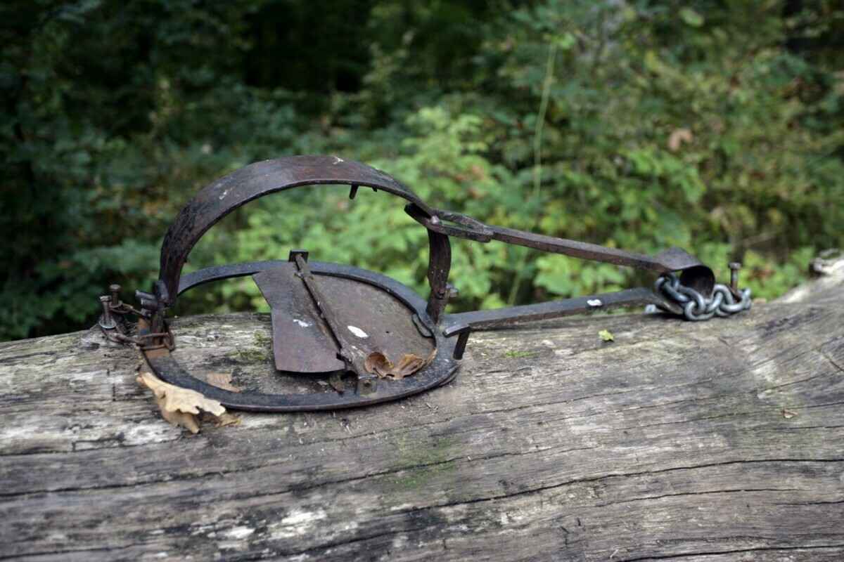 Белорусов предупредили об опасности попасть в капканы с 1 сентября. Где?