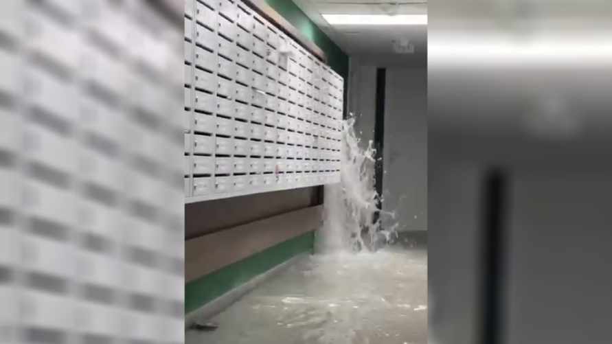 «В Африке были бы рады» - Минчане поделились видео «фонтана» в одной из новостроек после ливня