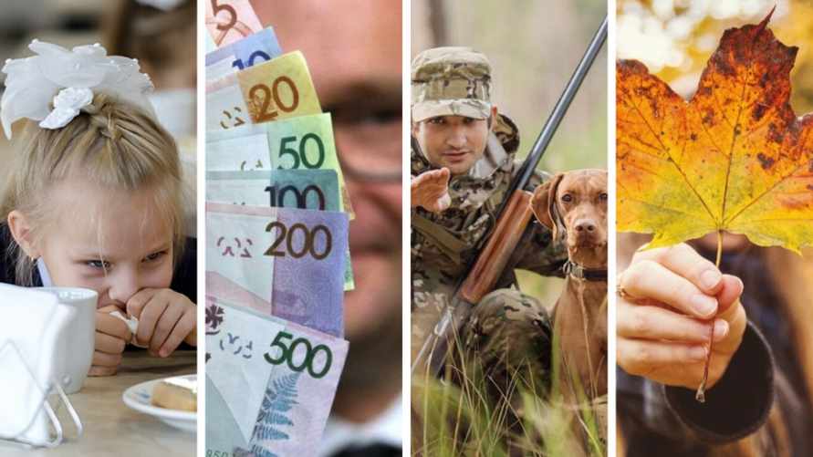 Новые школьные реалии, подросшие зарплаты бюджетников и контрсанкции Совмина в действии. Что ещё принесёт сентябрь белорусам?