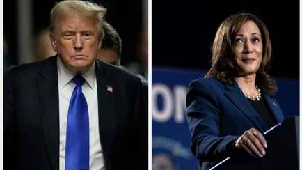 Харрис придумала, как переманить республиканцев и победить Трампа? Опросы в США показали новые рейтинги кандидатов