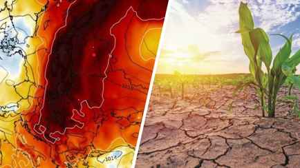 «Прогнозируется развитие засухи» — Синоптики назвали дату, до которой в Беларуси сохранится «положительная температурная аномалия»