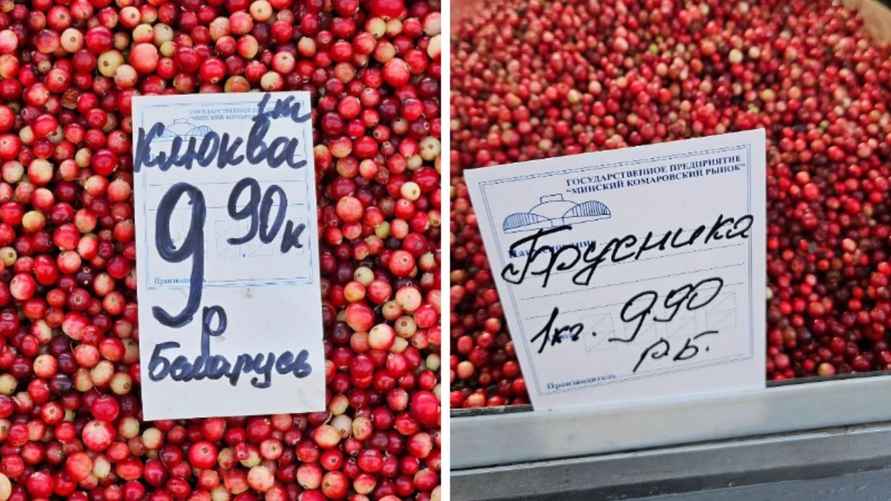 Фото: komarovka.by