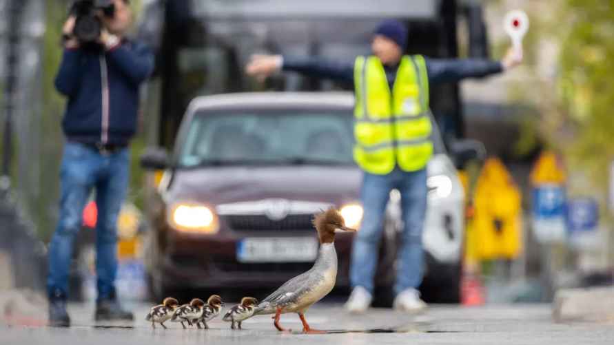 "Коварное путешествие". Фото: Гжегож Длугош