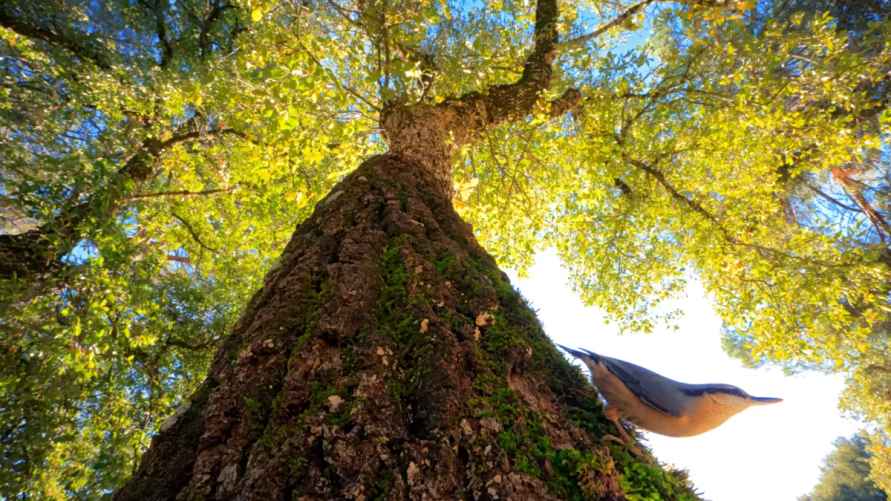 "Перспектива". Фото: Андрес Бланко