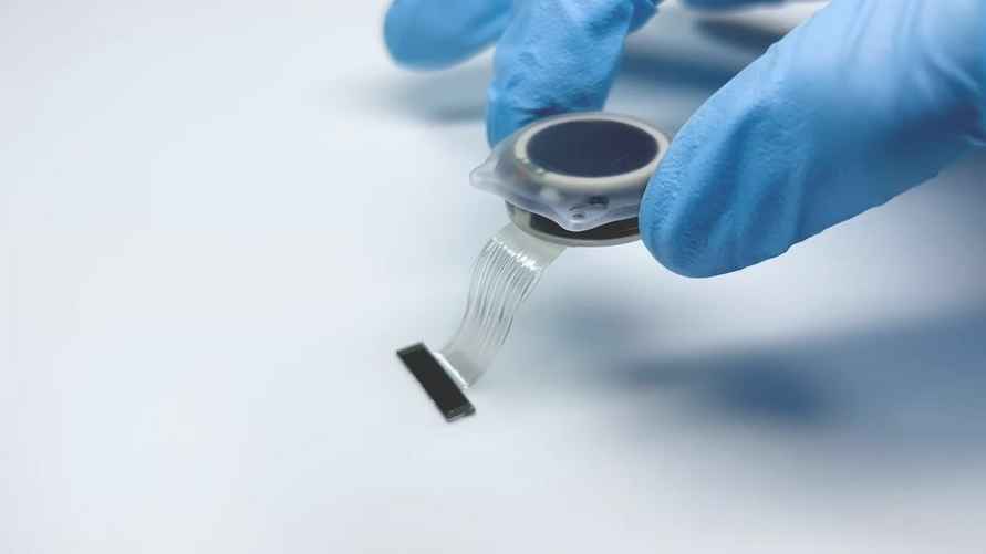 Имплант Blindsight / скриншот видео Neuralink