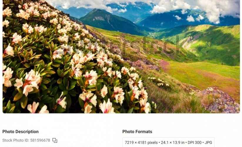 Та самая фотография из Грузии, которую использовали в предвыборном штабе Трампа