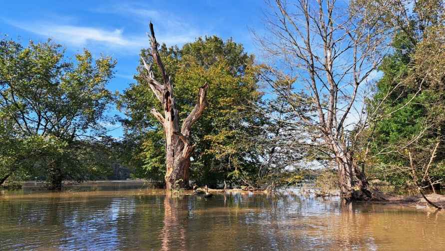 «Похоже на небольшой апокалипсис» — Поляки показали, во что превратились города и леса после наводнения