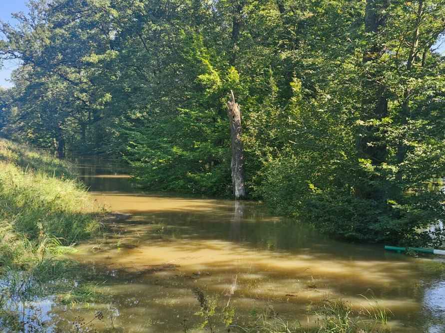 «Похоже на небольшой апокалипсис» — Поляки показали, во что превратились города и леса после наводнения