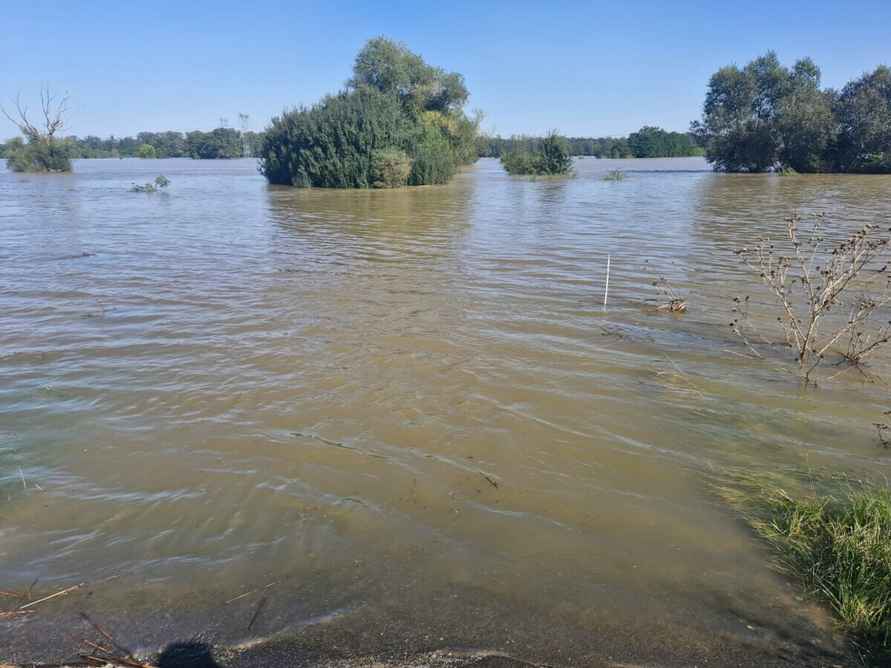 «Похоже на небольшой апокалипсис» — Поляки показали, во что превратились города и леса после наводнения