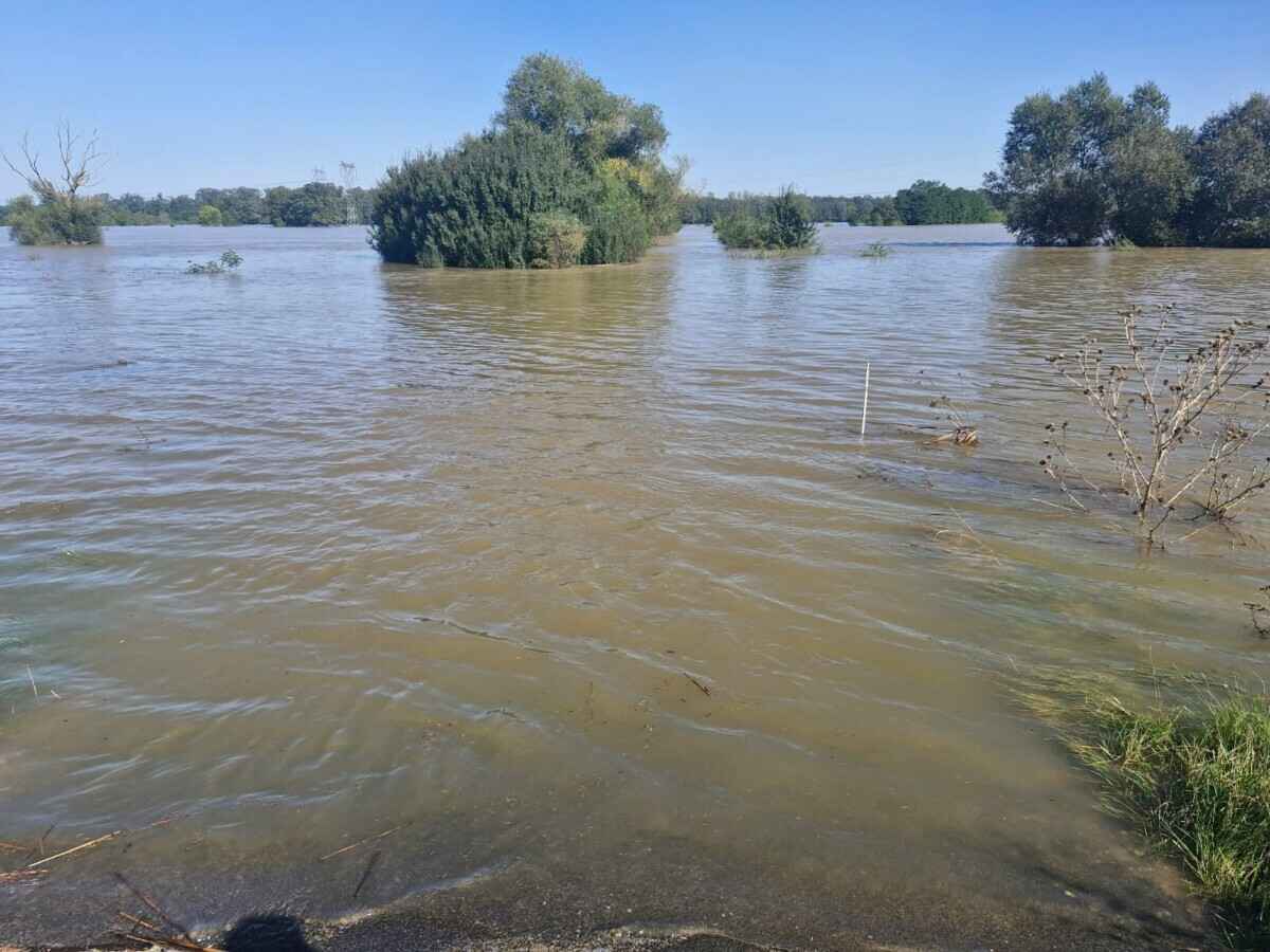 «Похоже на небольшой апокалипсис» — Поляки показали, во что превратились города и леса после наводнения