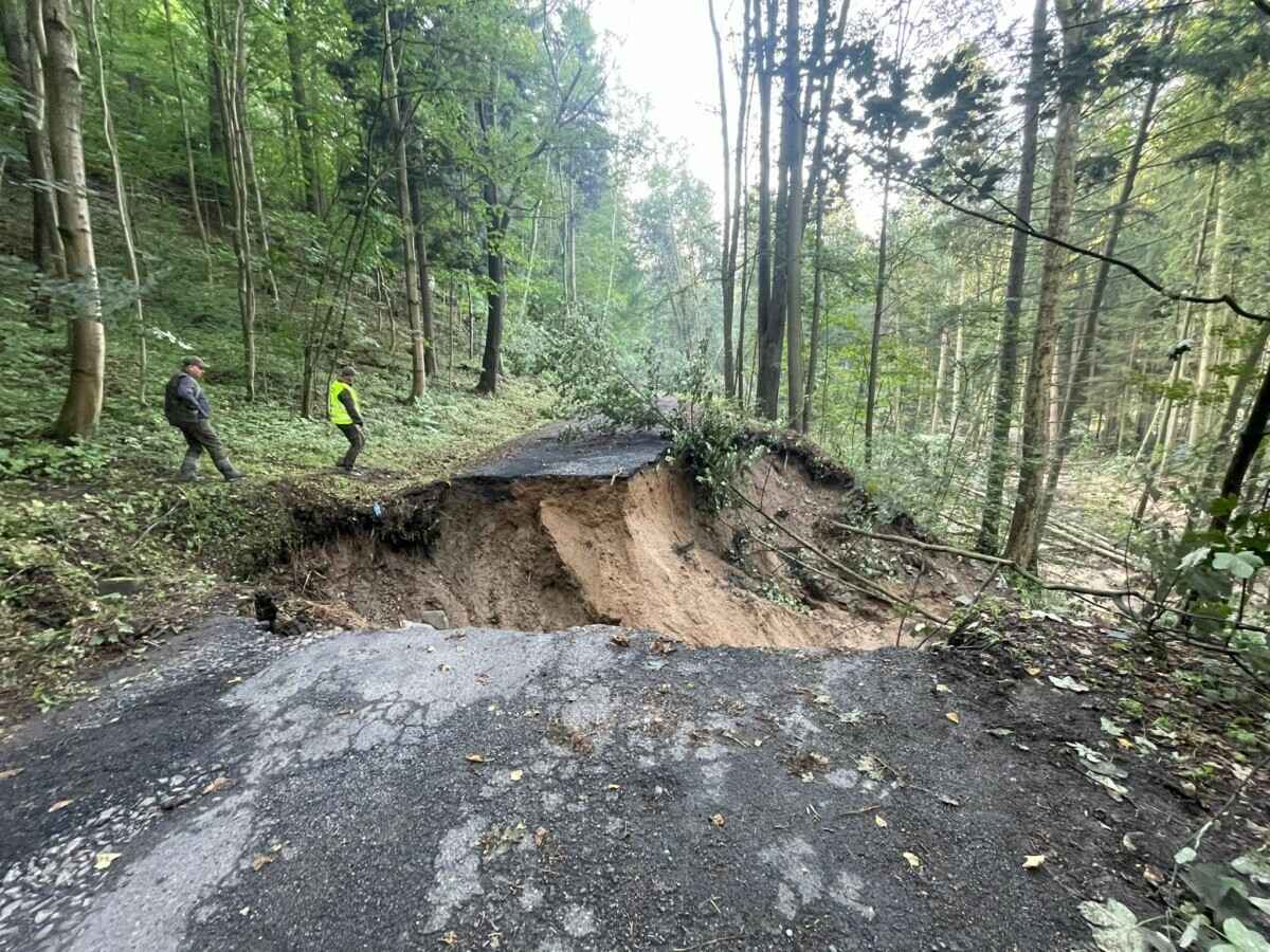 «Похоже на небольшой апокалипсис» — Поляки показали, во что превратились города и леса после наводнения