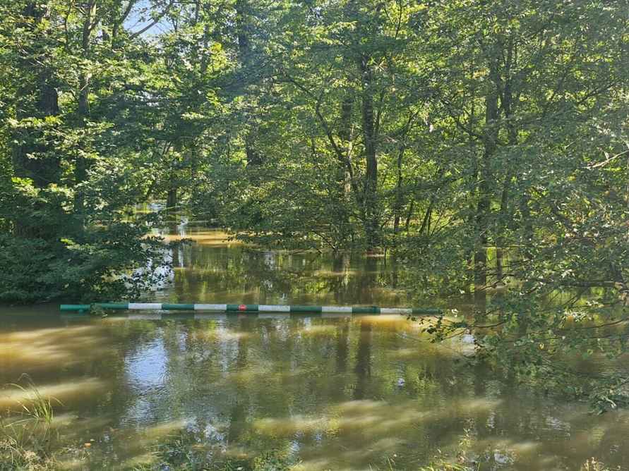 «Похоже на небольшой апокалипсис» — Поляки показали, во что превратились города и леса после наводнения