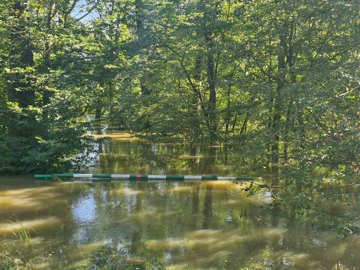 «Похоже на небольшой апокалипсис» — Поляки показали, во что превратились города и леса после наводнения