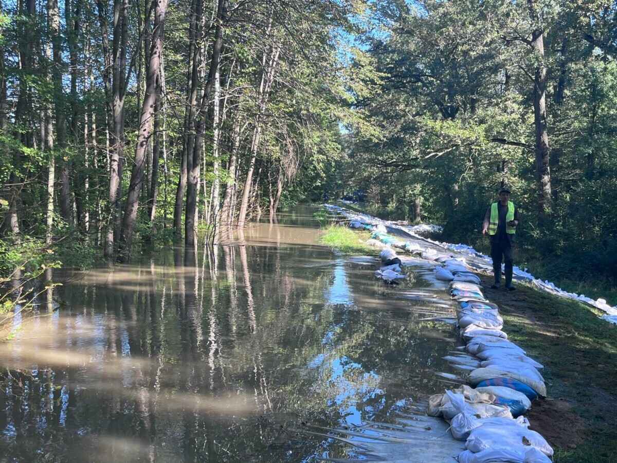 «Похоже на небольшой апокалипсис» — Поляки показали, во что превратились города и леса после наводнения