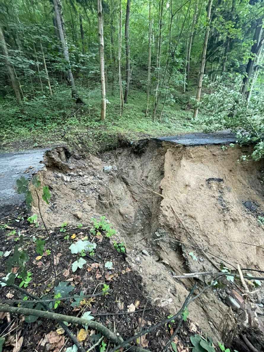 «Похоже на небольшой апокалипсис» — Поляки показали, во что превратились города и леса после наводнения