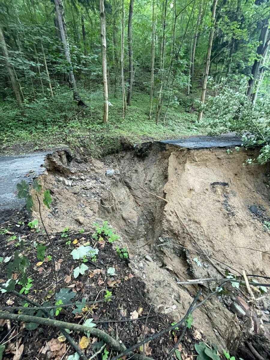 «Похоже на небольшой апокалипсис» — Поляки показали, во что превратились города и леса после наводнения