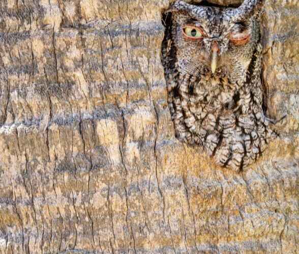 "Открытая дверь". Фото: Роберт Глокнер