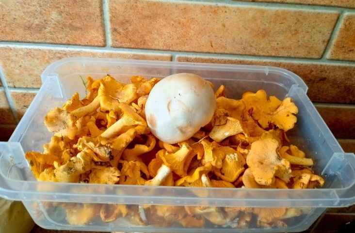 Фото: паблик 