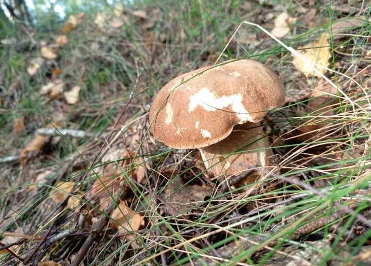 Фото: паблик 