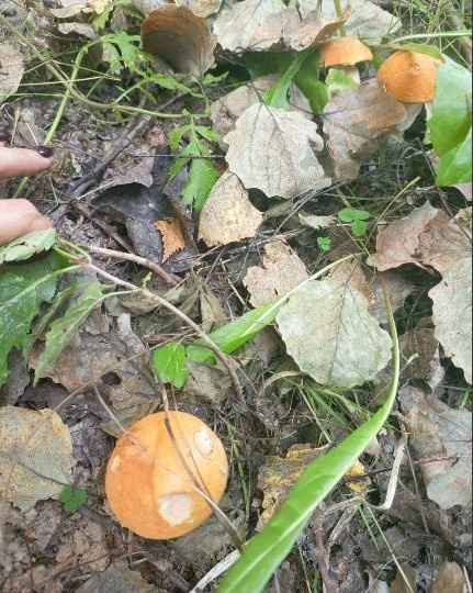 Фото: паблик 