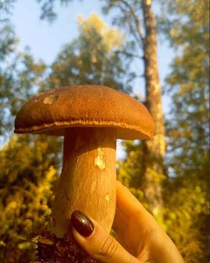 Фото: паблик 