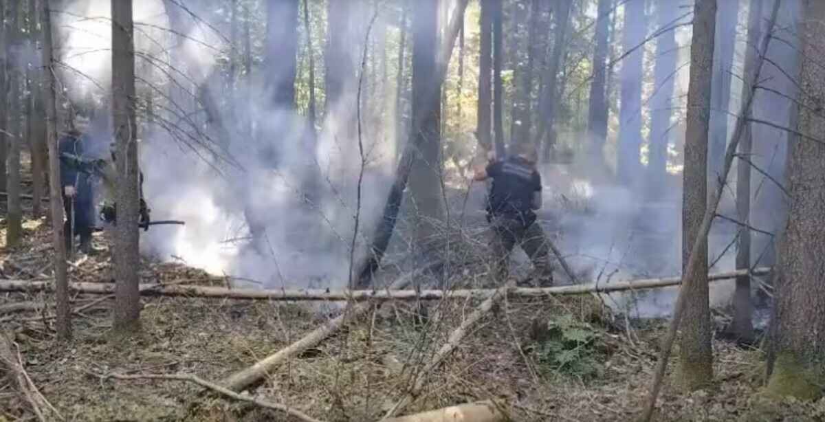 Screenshot видео