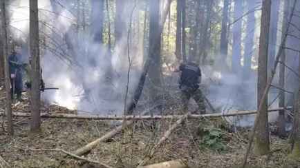 На польском участке Беловежской пущи рядом с границей Беларуси произошёл пожар