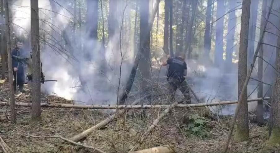 Там добавили, что пограничники приступили к тушению огня