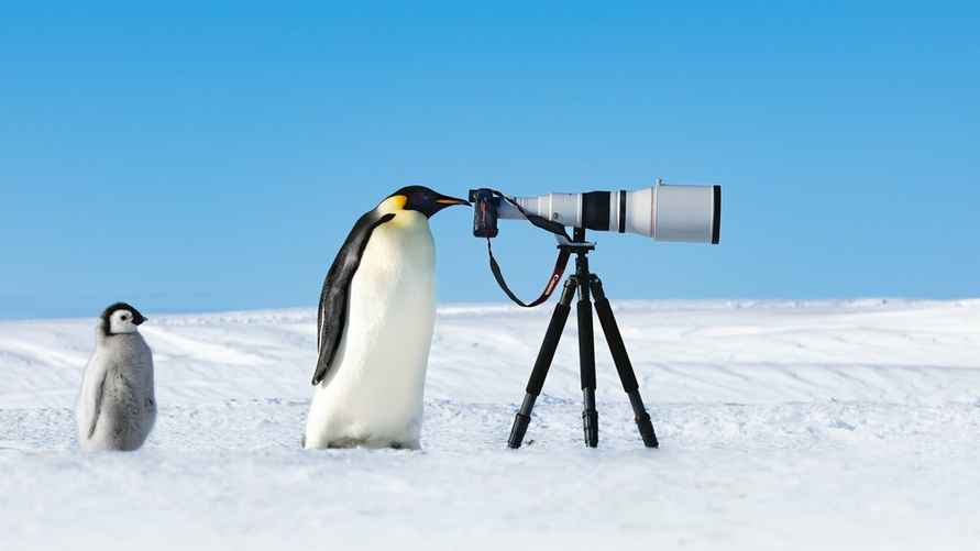 "Императорский шпион". Фото: Томас Виджаян