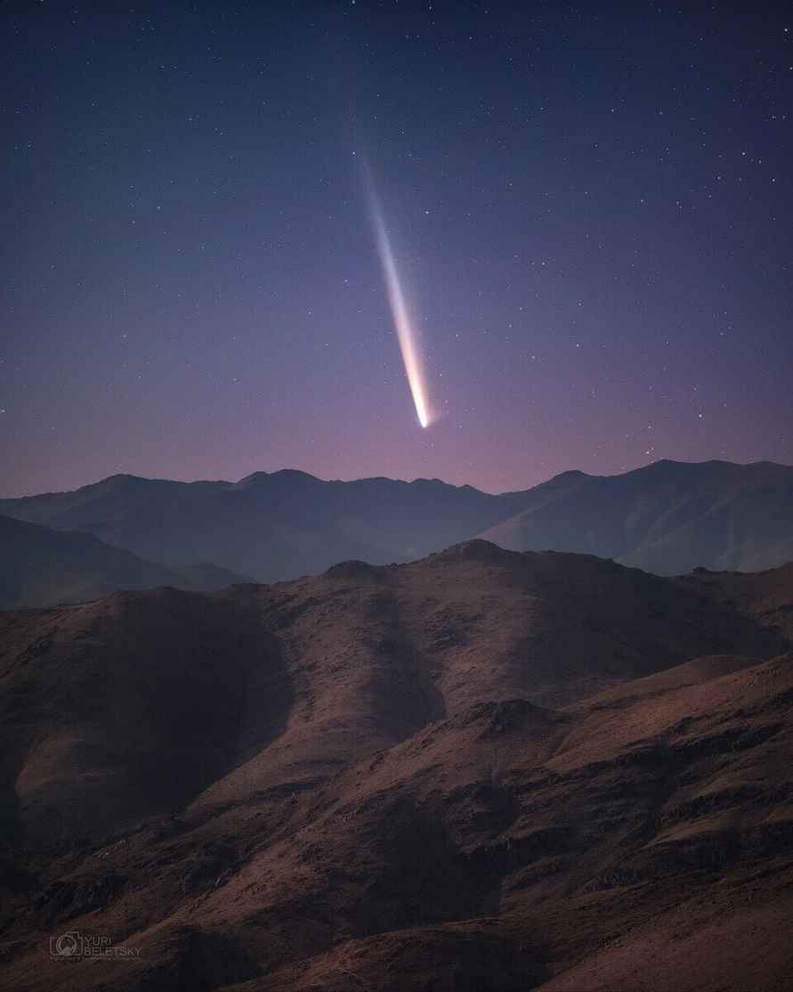 Фото из соцсети Х