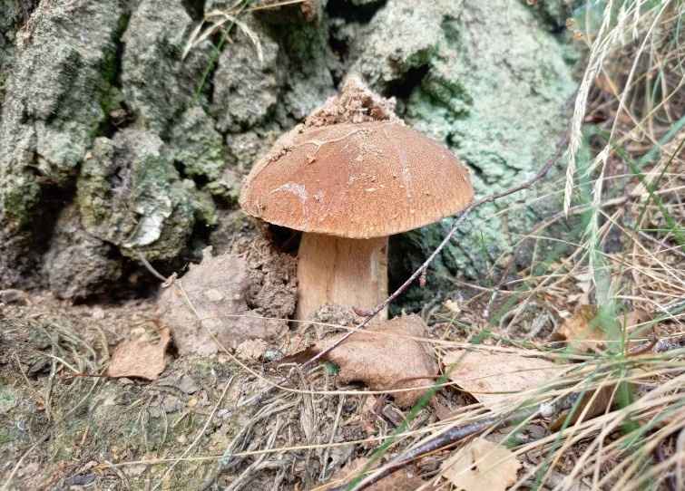 Фото: паблик 