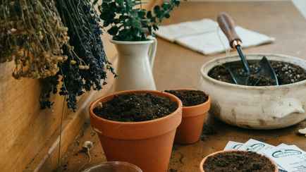 Не выбрасывайте использованный грунт из вазонов. Эти 4 действия вернут ему первоначальные свойства